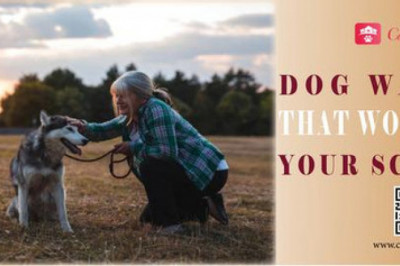 Dog Sitter services  in El Paso, TX