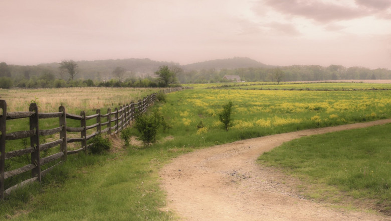 San Francisco Driving Tour | Actiontourguide.com