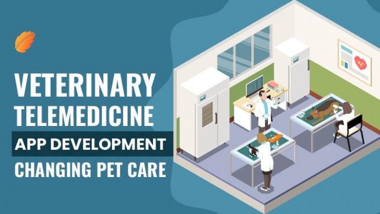 Veterinary Telemedicine App Development Is Changing Pet Care