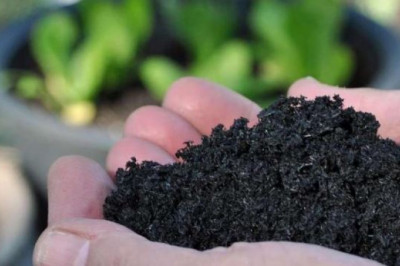 Biochar Market Will Hit Big Revenues In Future