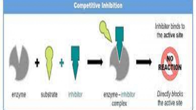 Report on Enzyme Inhibitor Market Research 2028 - Value Market Research