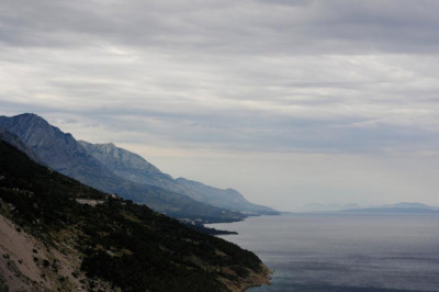 15 tips about froggy hops from industry experts