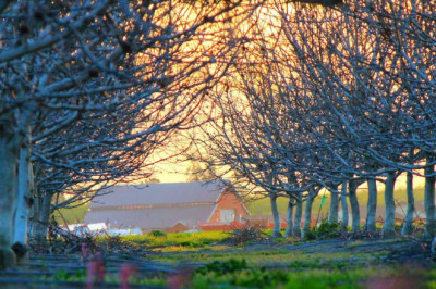 element time jobs in coimbatore for female most effective job vacancy for female near me apna vacancy