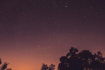 why the biggest myths about donkey milk face cream in groningen httpselgrecocosmeticscomdonkeymilkfacecreamwithlavender may actually be right