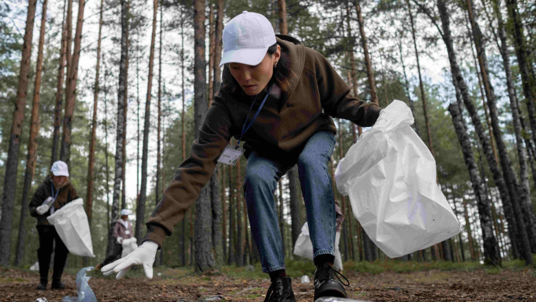 Why Is Environmental Cleanup Important?