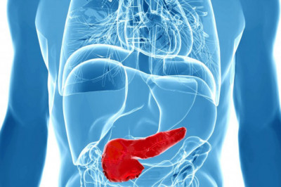 Bone marrow is transplanted during Gaucher disease treatment