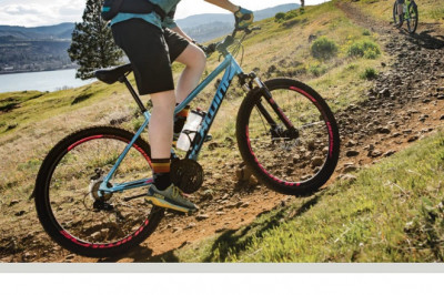 Buy Low Price Best Adult Mountain Bikes Under $350