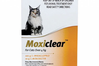Buy Moxiclear For Large Cats Over 4 Kg Orange | DiscountPetCare