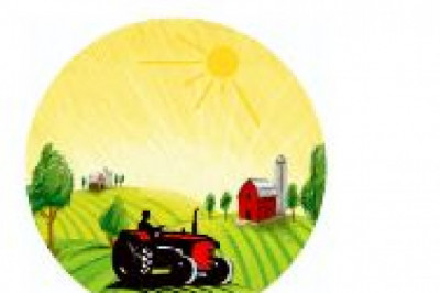 Farmers Castle - Online store to buy Cocopeat, Seeds, Garden Products & more