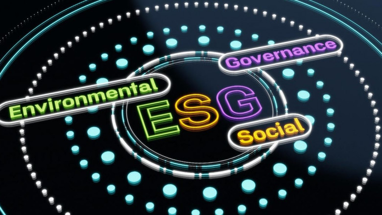 Identifying ESG Metrics That Matter