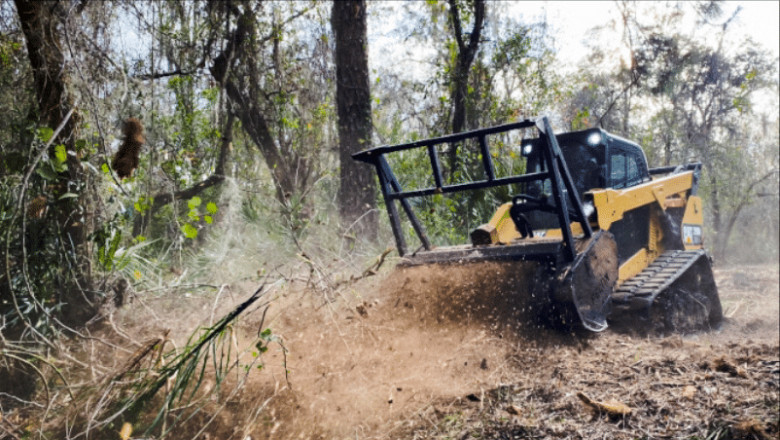 Miami County and Allen County Land Clearing: Forestry Mulching Pros