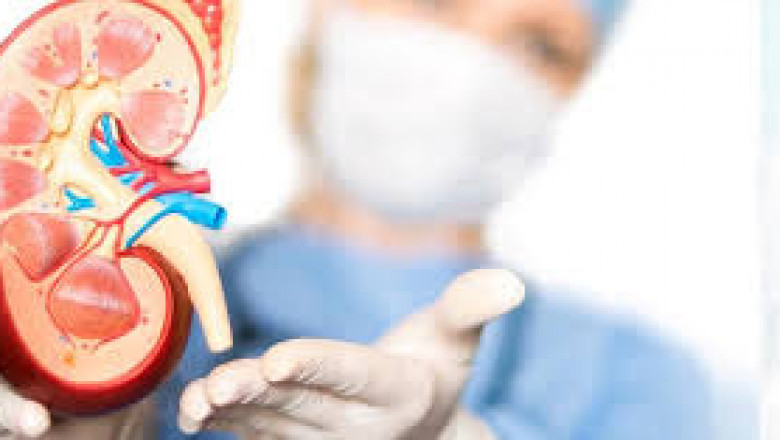 Top Urologist In Chrompet