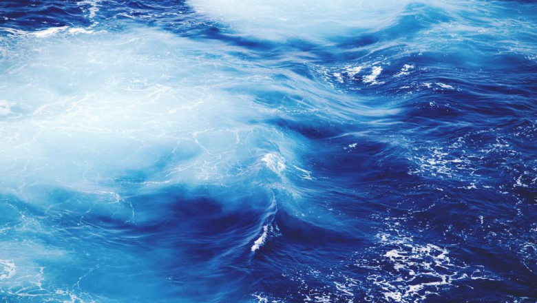 20 insightful quotes about detoxifying and clarifying shampoo