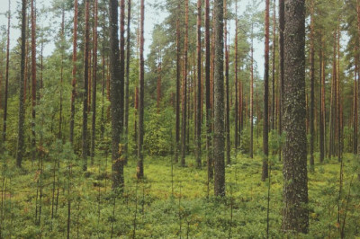 7 things about we buy houses for cash reviews youll kick yourself for not knowing