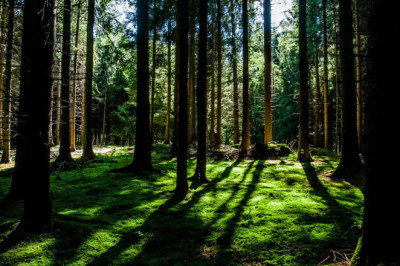 desert safari dubai adventures