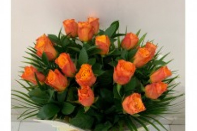 Gifts Ideas For Plant Lovers