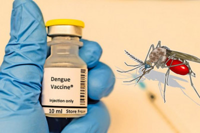 There is no recommended dengue vaccine for those who haven't had dengue fever before