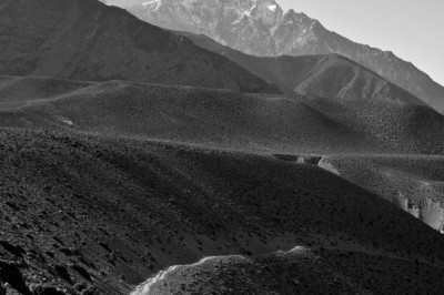 91109 wedding event cake photos