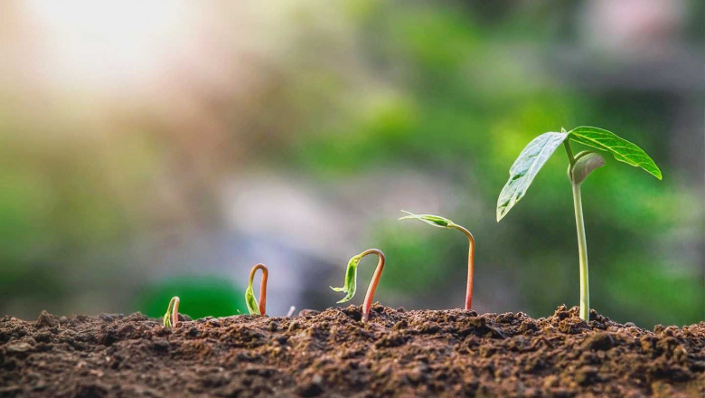 Biostimulants market growth will be driven by precision agriculture and latest technologies