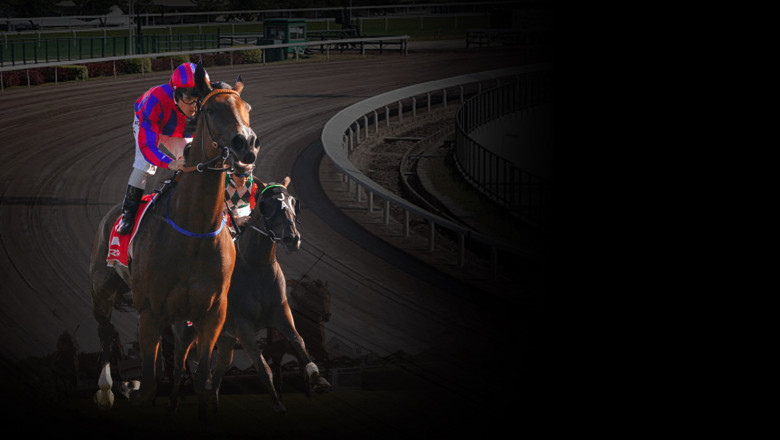 Online Horse Racing Singapore | Sg3we.com