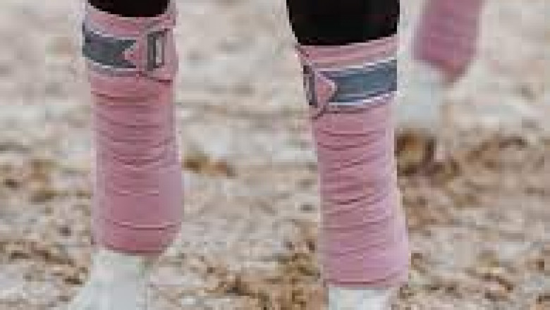 ¿Qué es un cabestro de cuero para caballos?