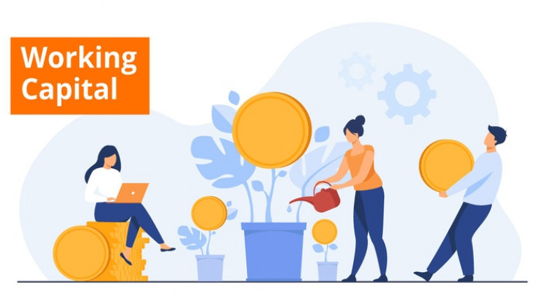 Working Capital Loan and Its Different Forms