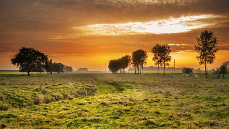 your worst nightmare about cavity insulation grant comes to life