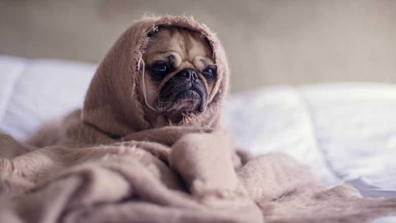 10 facts about commercial cleaning service that will instantly put you in a good mood