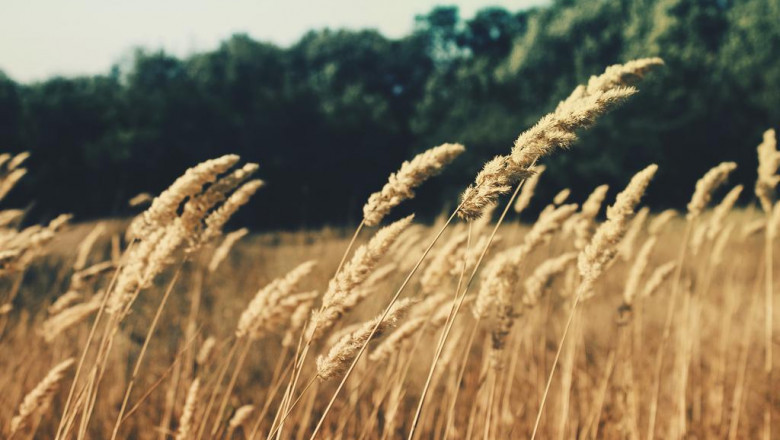 7 key steps start with your own commercial movers