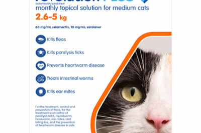 Buy Revolution Plus For Medium Cats 2.5 - 5kg Orange