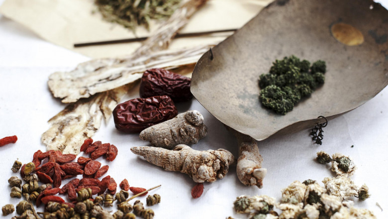 Medicine For Kidney - Choose The Best Herbal Treatment For Kidney Disease