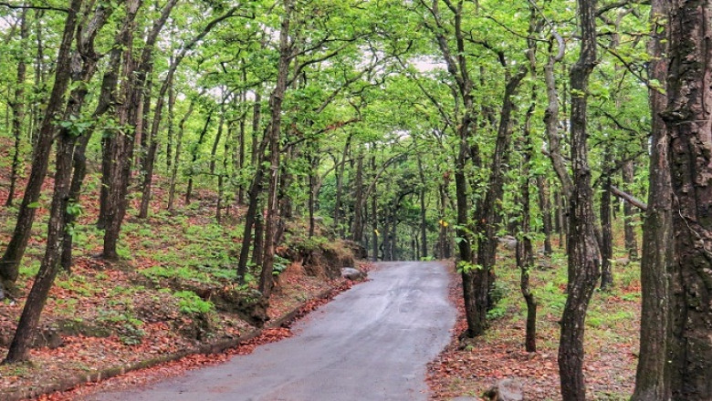 Stay In Kausani – Amidst Snow And Woods