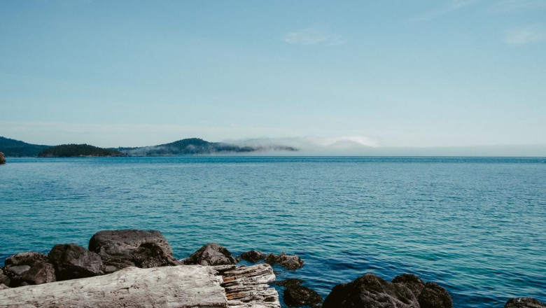 15 best proothese bloggers you need to follow