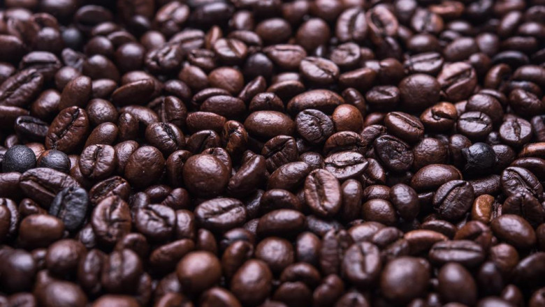 5 approaches to reduce the carbon footprint of your commercial van