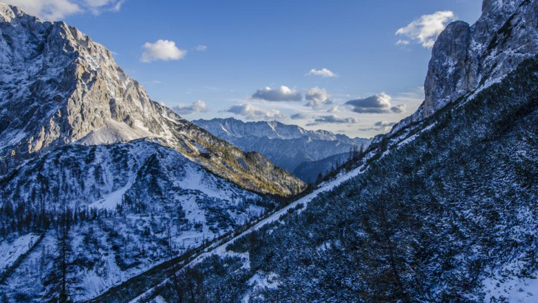 the pros and cons of acs nasal extra strength