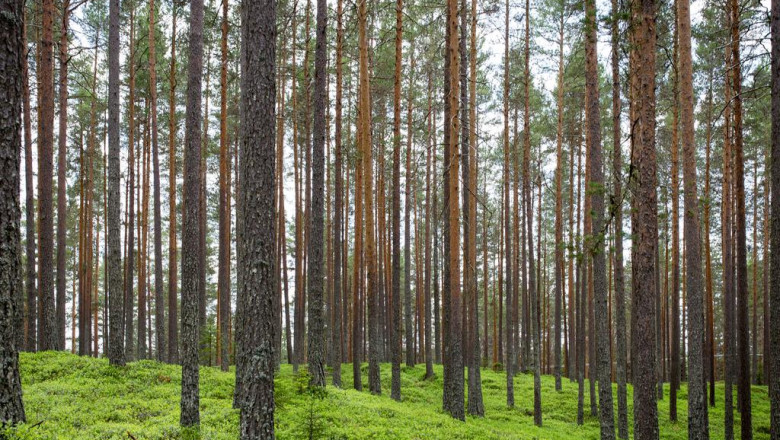 aichsuutraihn elnewberaaaihaidkamairmaakthiisud khamtbyuuniiaelw