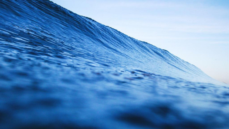 becoming a yoga exercise educator