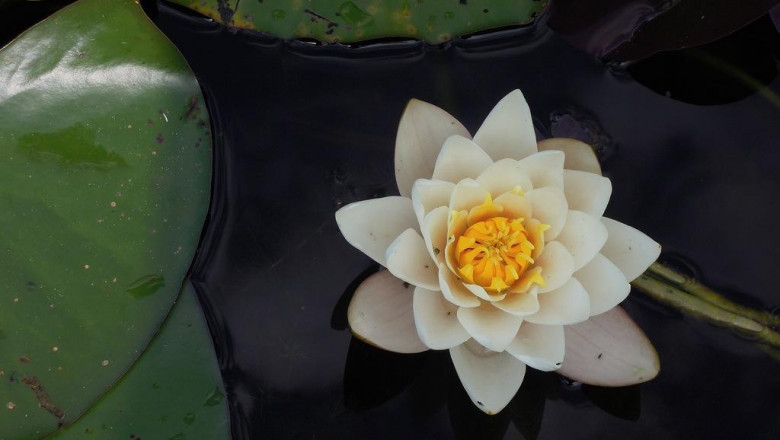 skin care spots with microneedling modern technology for acne acnes under eye bags and shadows as well as creases