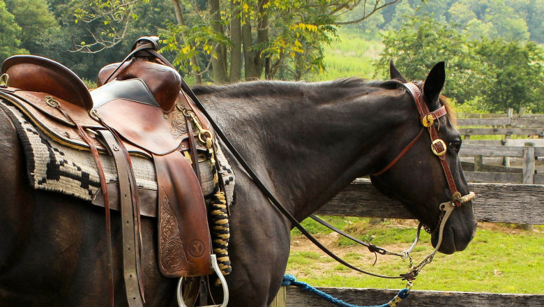 What Are Gaited Horse Saddles?