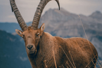 Saturn in Aquarius – Meaning and Personality Traits