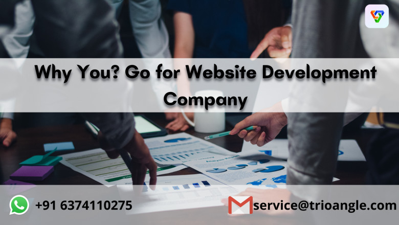 Why You? Go for Website Development Company