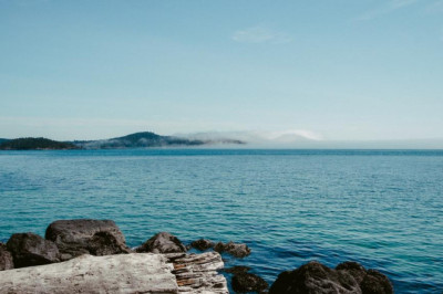 why you should forget about improving your how to real estate wholesale