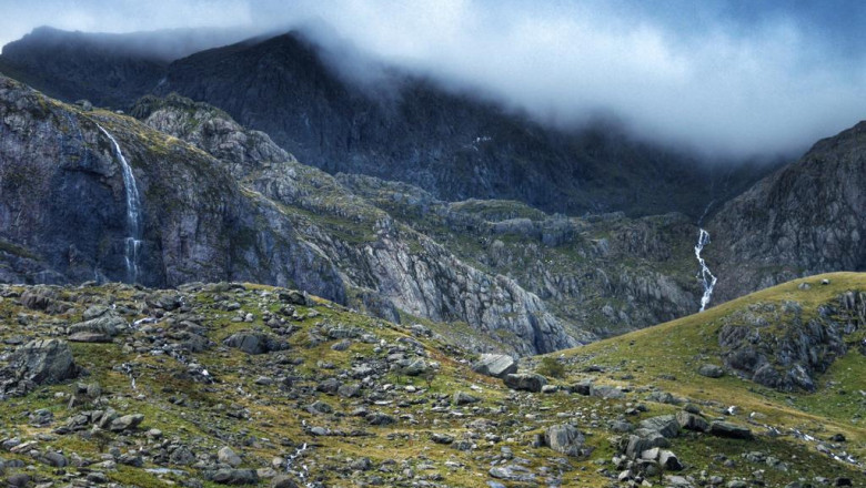 9 signs you sell buy magic mushrooms for a living