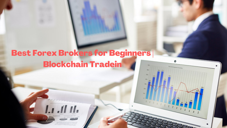 Best forex brokers for beginners