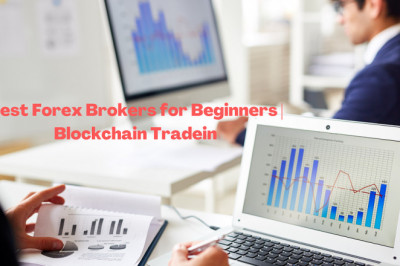Best forex brokers for beginners