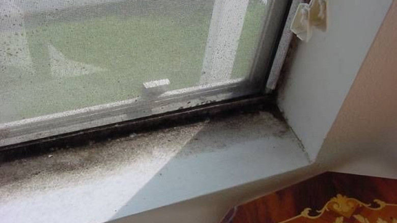 Cleaning Solutions to Get Mildew Out of Any Surface