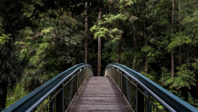 decide on meaningful items approach residing the litl process