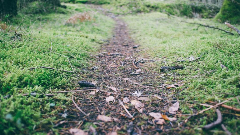 getting a billboard truck insurance quote