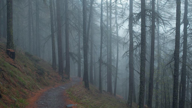 how 100 possible get the cheapest term