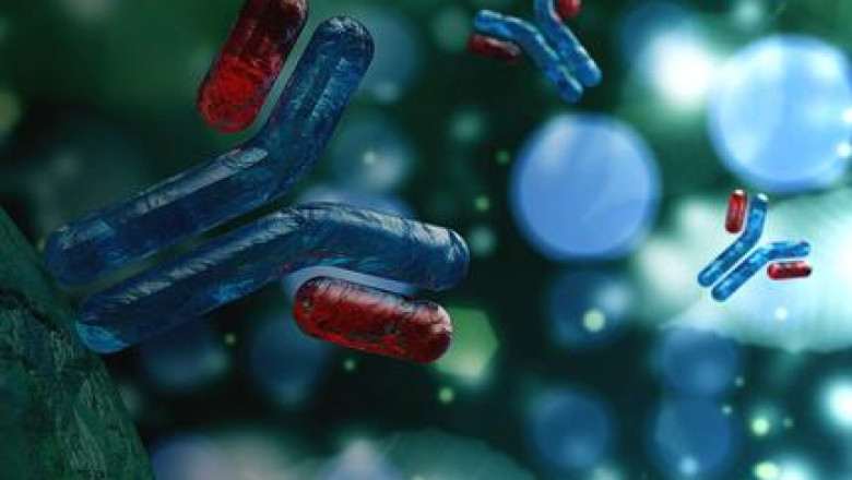 Label Free Detection Market Record High Growth In The Coming Year